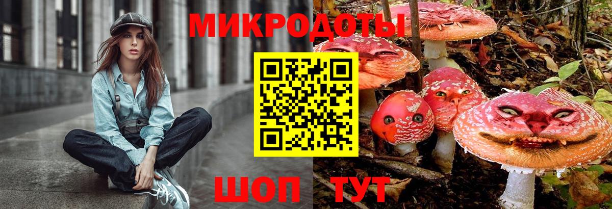 Псилоцибиновые грибы Cubensis  Вход с VPN  Псилоцибиновые грибы мицелий  Киреевск 